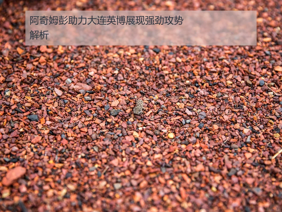 阿奇姆彭助力大连英博展现强劲攻势解析